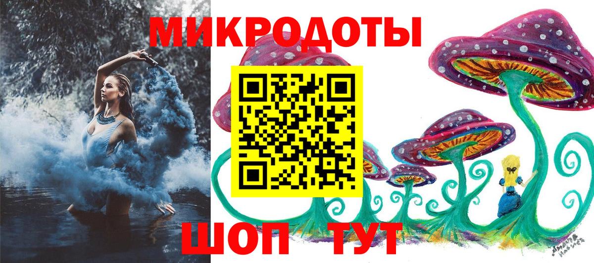 Псилоцибиновые грибы Psilocybe Кимры